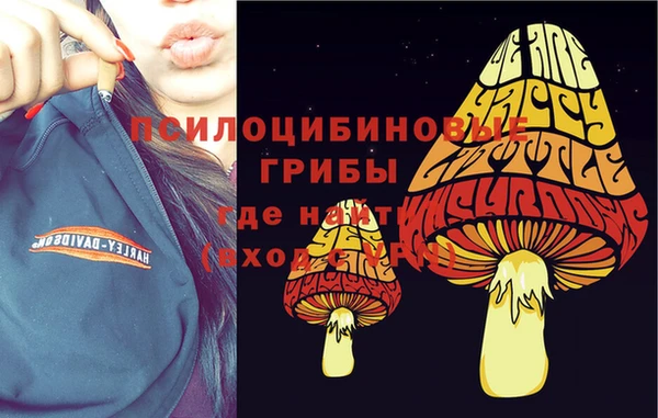 твердый Аркадак
