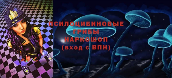 спайс Алексин