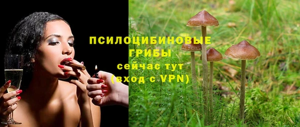спайс Алексин