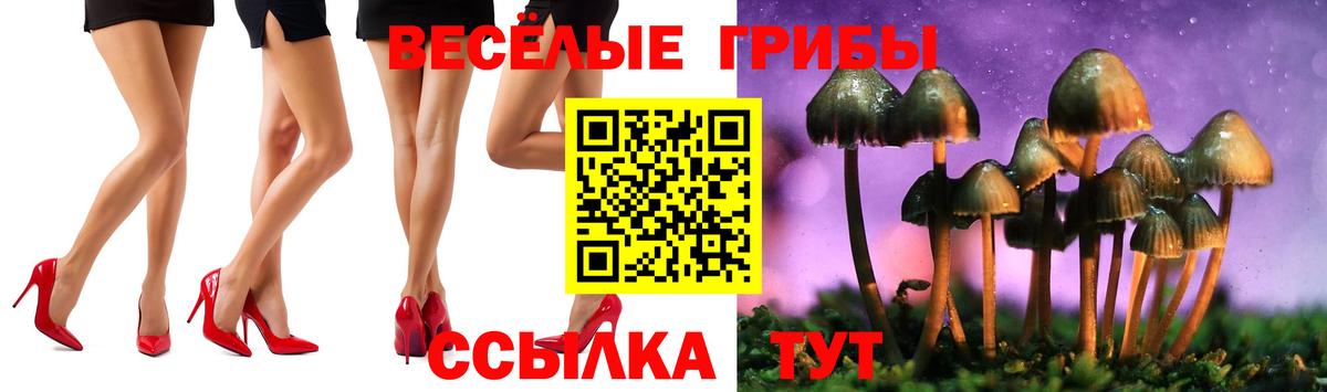 Галлюциногенные грибы Cubensis  Вход с VPN  Псилоцибиновые грибы Magic Shrooms  Кореновск 